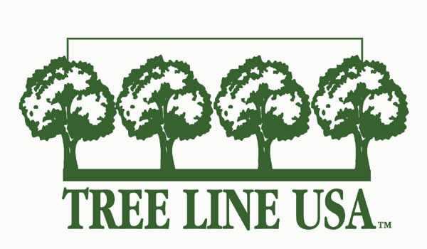 LOGO FOR TREE LINE USA PROGRAM.  GREEN OUTLINES OF FOUR TREES STANDING IN A ROW BELOW A SOLID GREEN LINE.